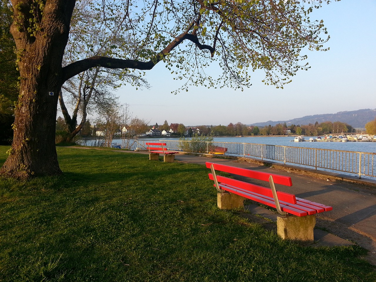 虎扑体育官网：顶级球员奉献精彩比赛 2024中国网球公开赛创下多项新高